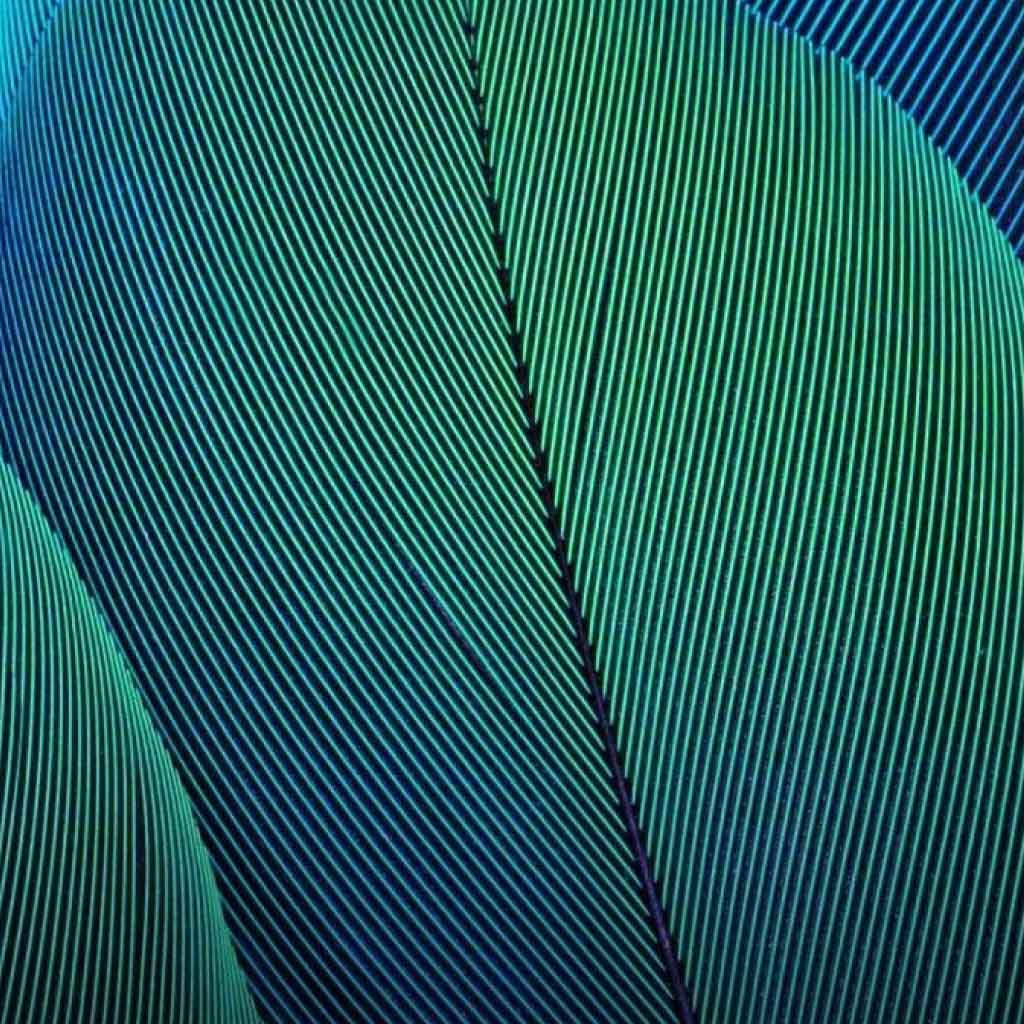 2021 N4 Pinterest Image