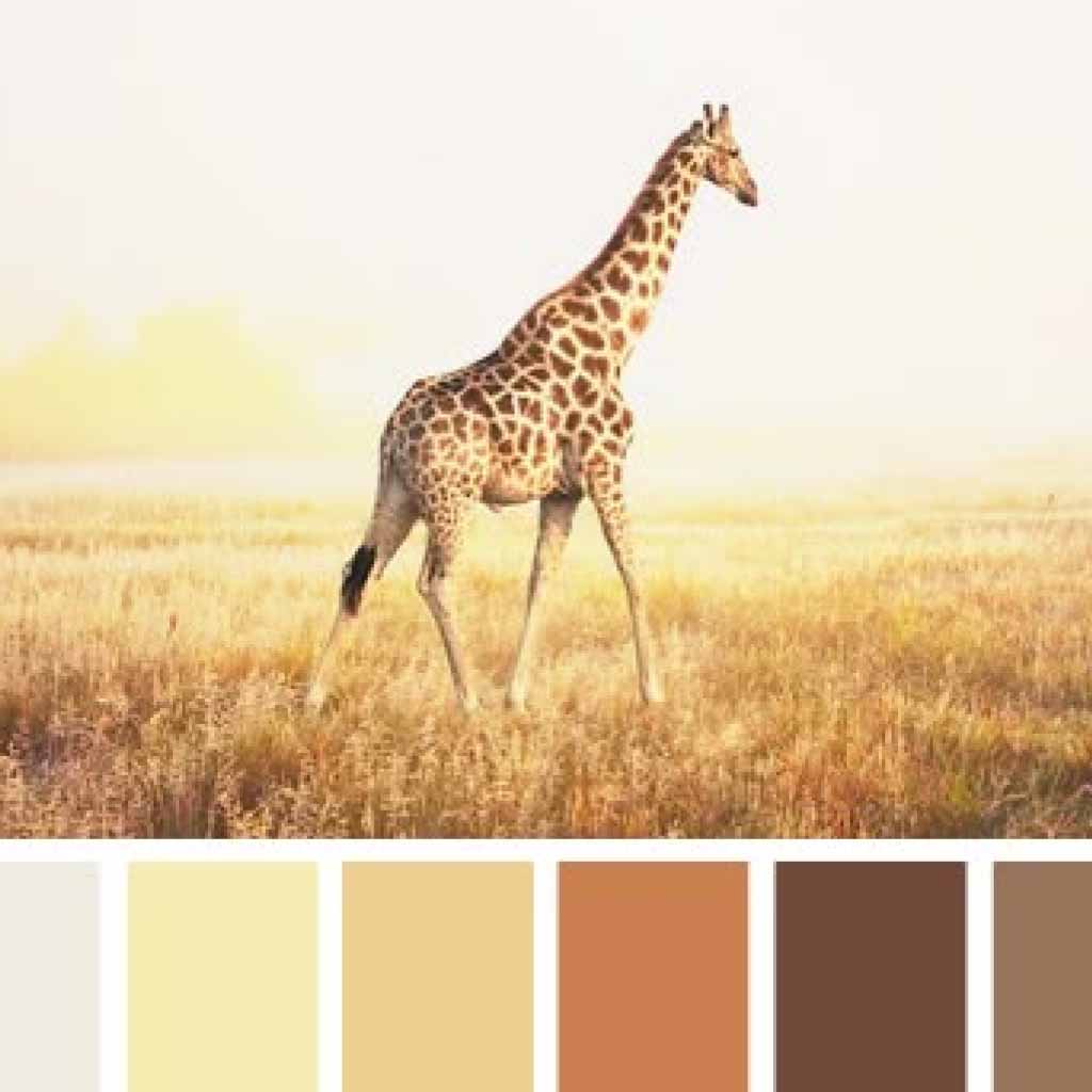 2017 N2 Pinterest Image