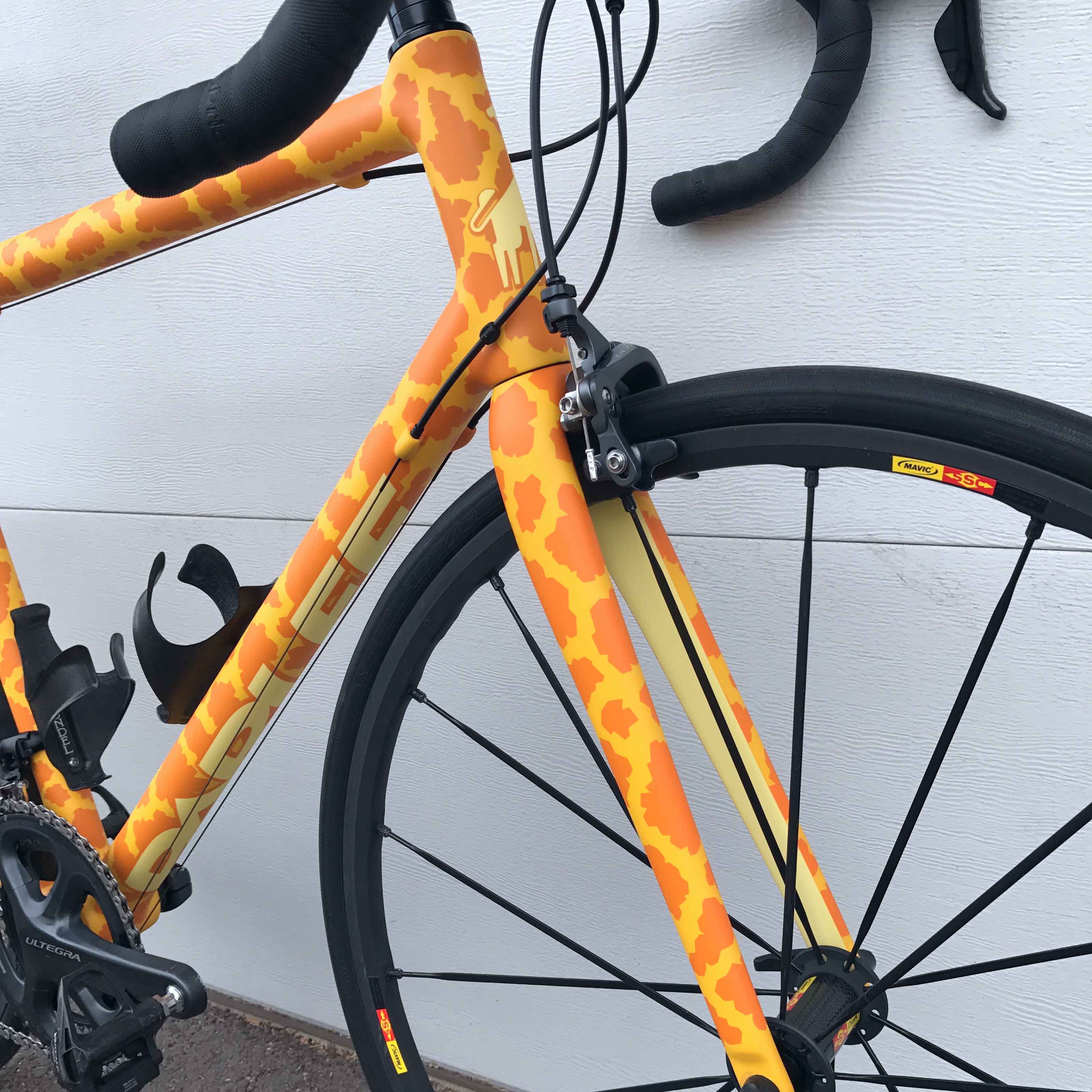 2017 N2 Parlee Z4