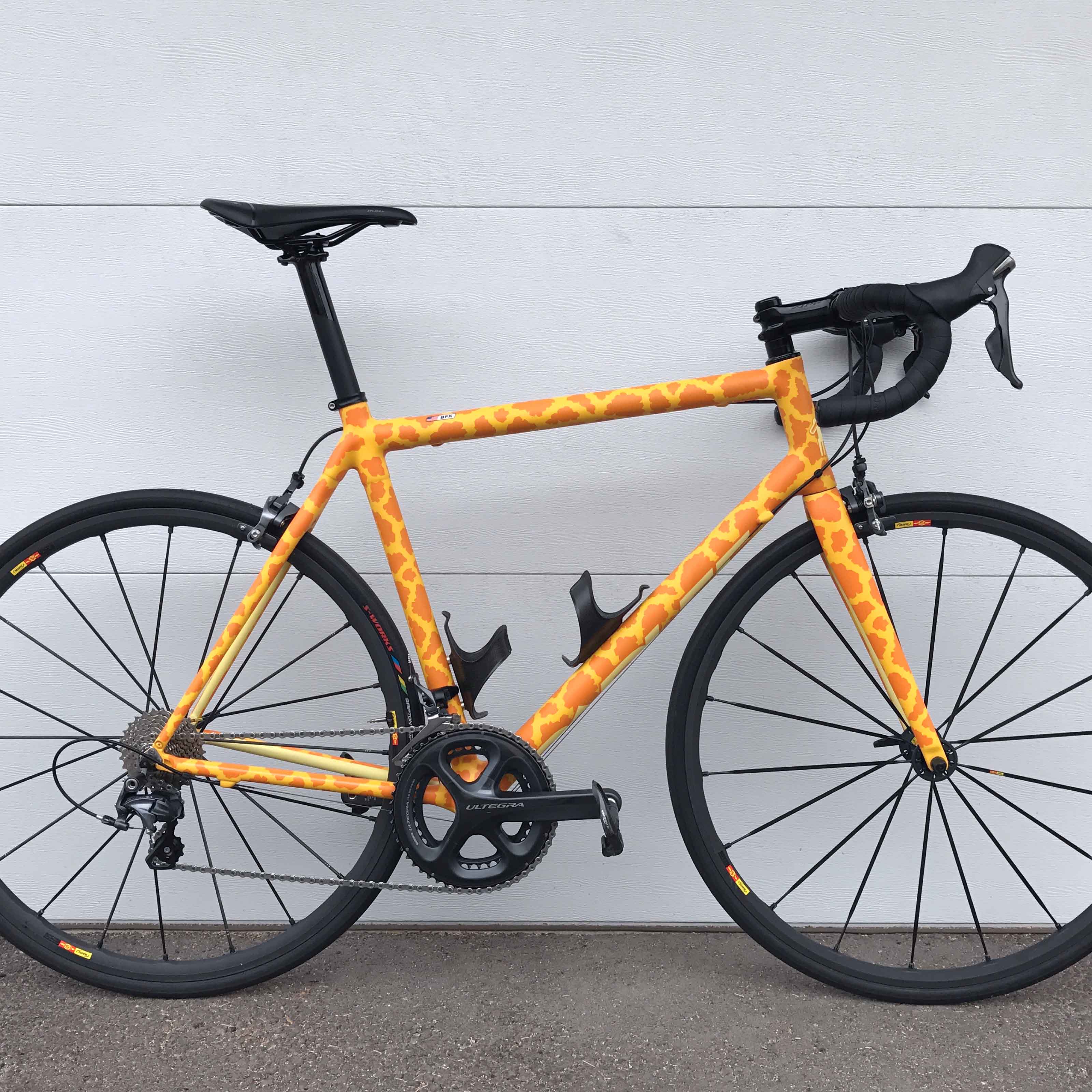 2017 N2 Parlee Z4
