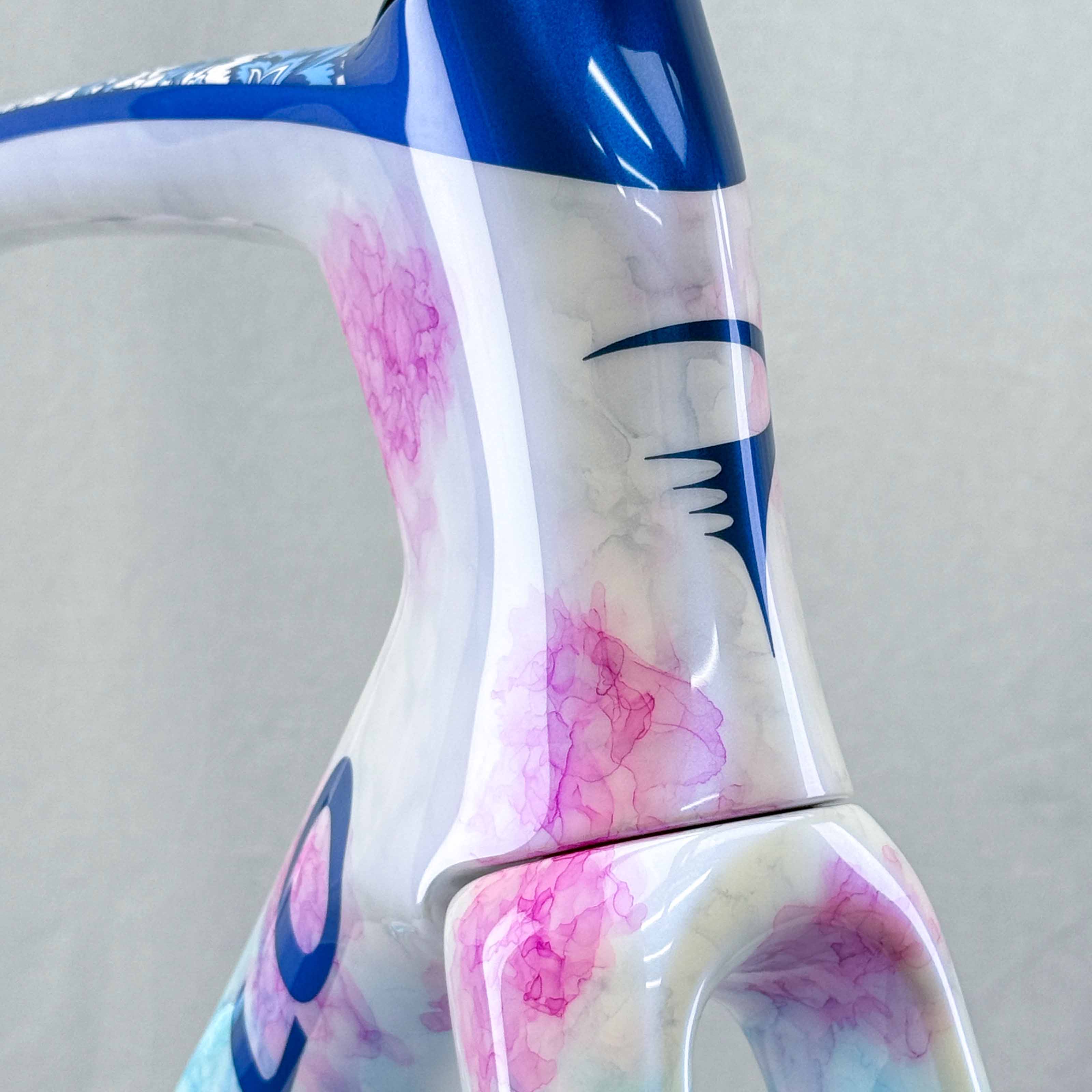 2025 N1 Pinarello Dogma F
