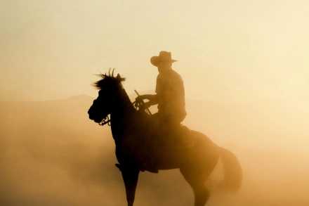 Awards representative image