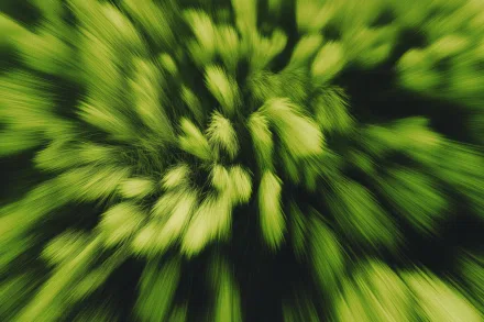 Awards representative image