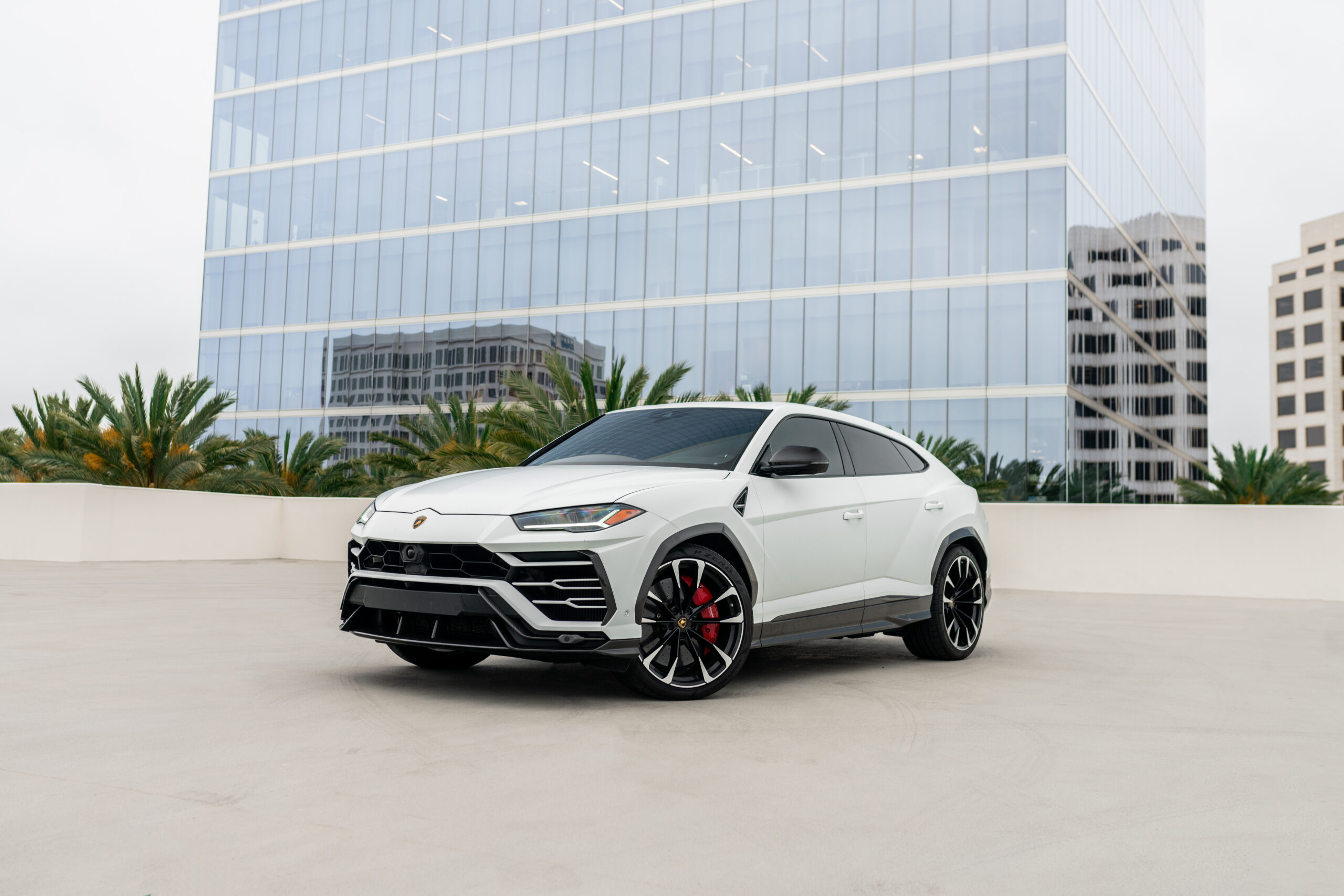 Lamborghini Urus rear view Matte White luxury SUV San Diego exotic rental