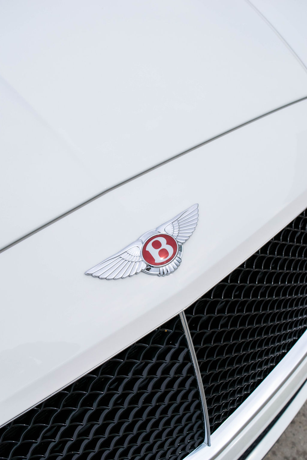 White Bentley Continental GTC luxury sedan for rent, 4 seats, Orange County