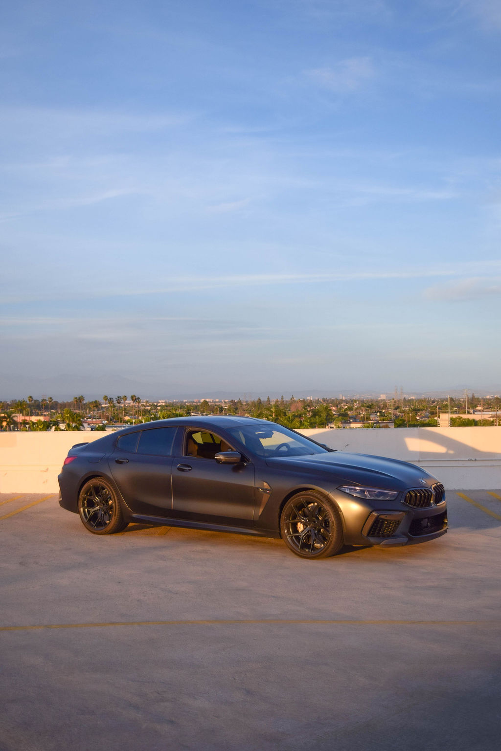 BMW M8 Competition in Satin Black over Brown, sports car rental in Orange County
