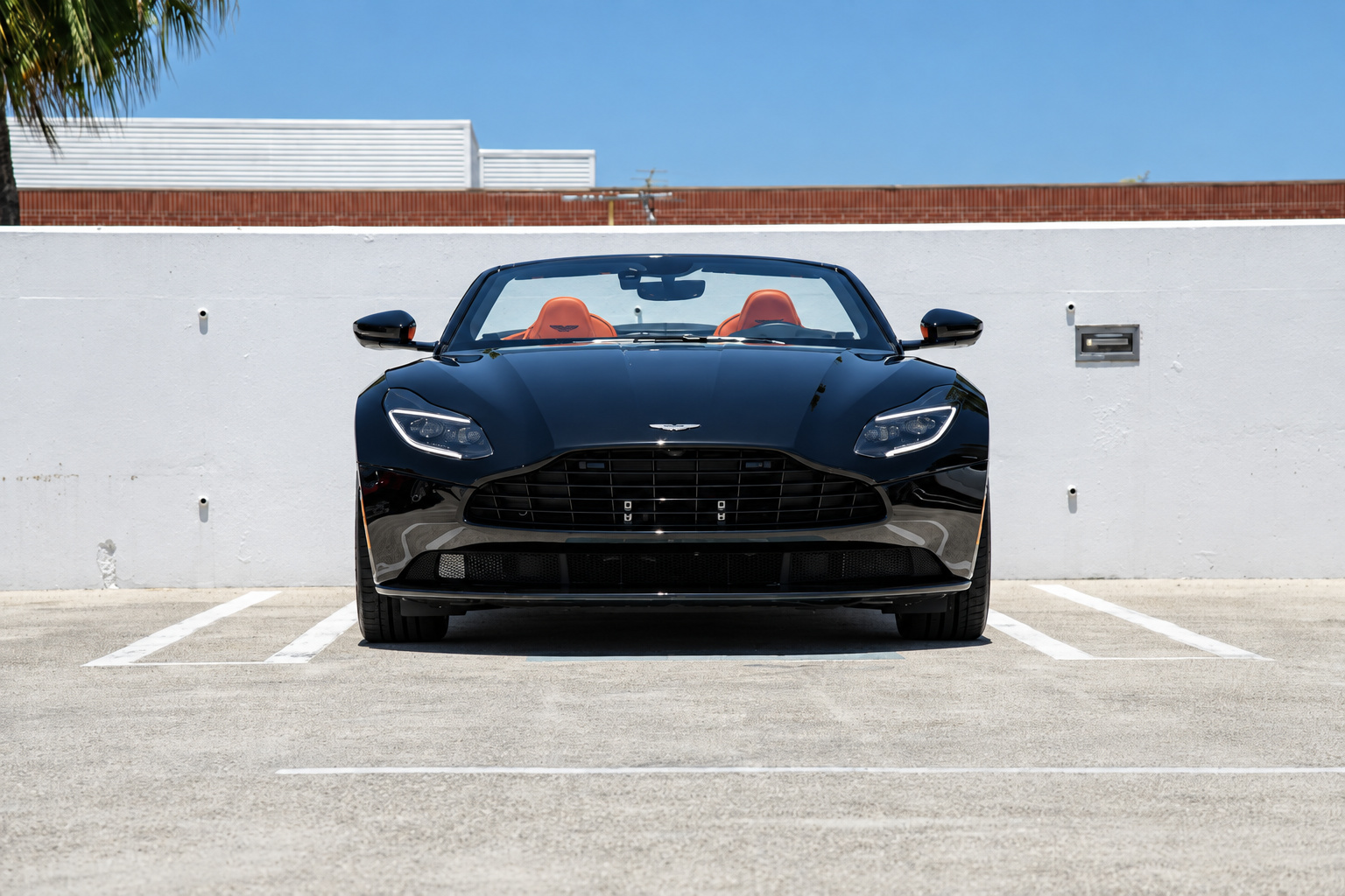 Front three-quarter view of the black Aston Martin DB11 Volante parked roof down on a rooftop deck with palms behind