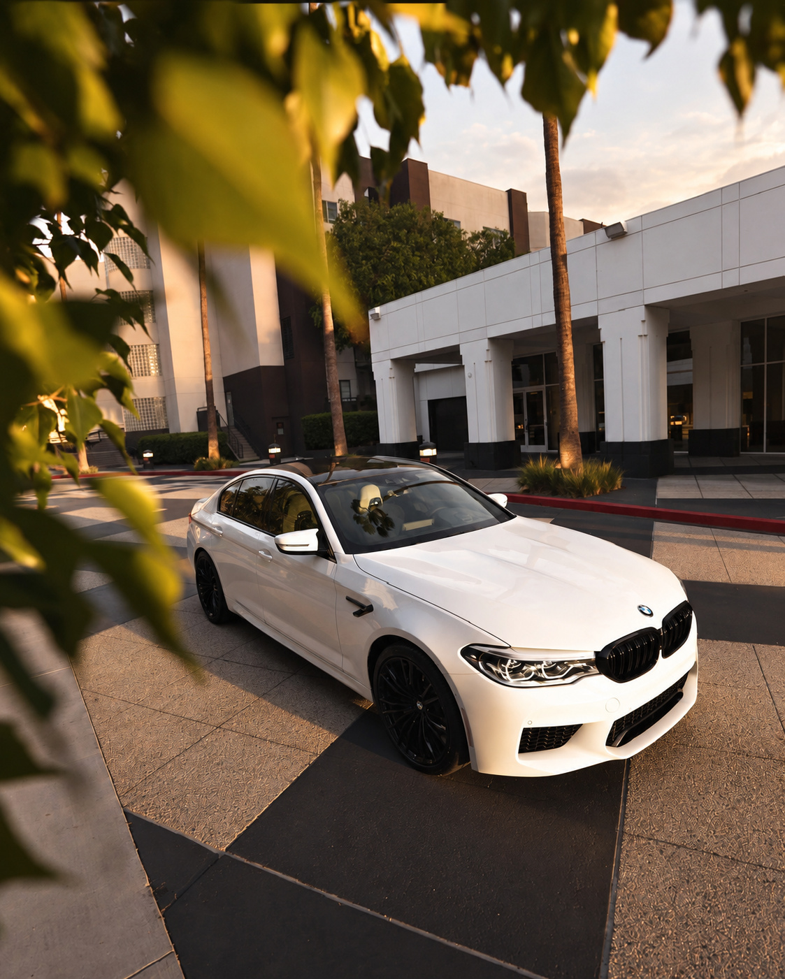 White BMW M5 Competition seen through leaves, front three-quarter, black wheels and the kidney grille