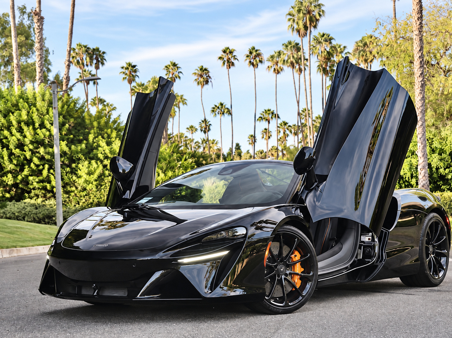 Black McLaren Artura Spider with both doors up and the roof down on a palm-lined residential street in Beverly Hills