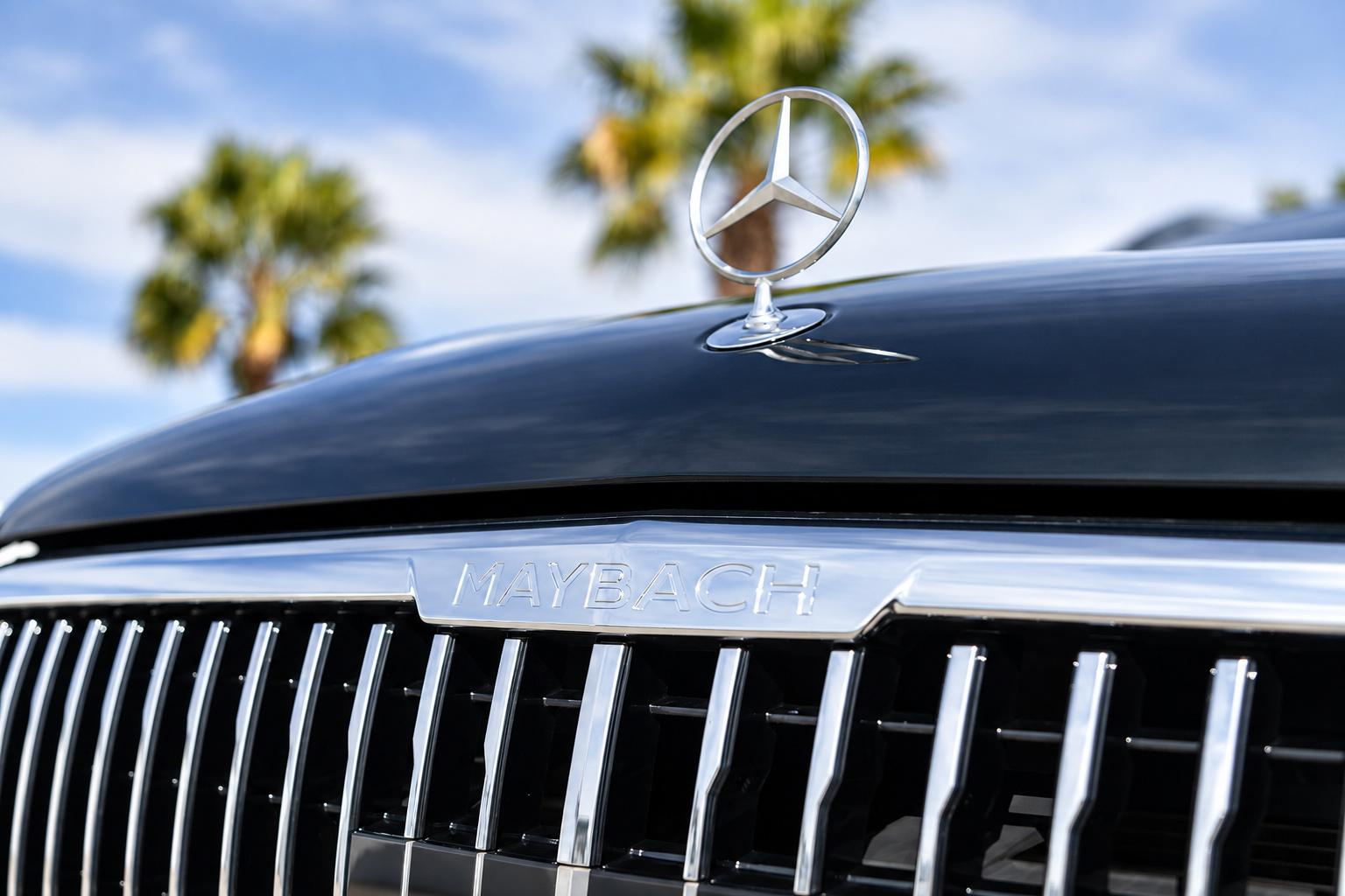 Maybach grille and hood star of the Emerald Green GLS 600 close up, vertical chrome bars with palms behind