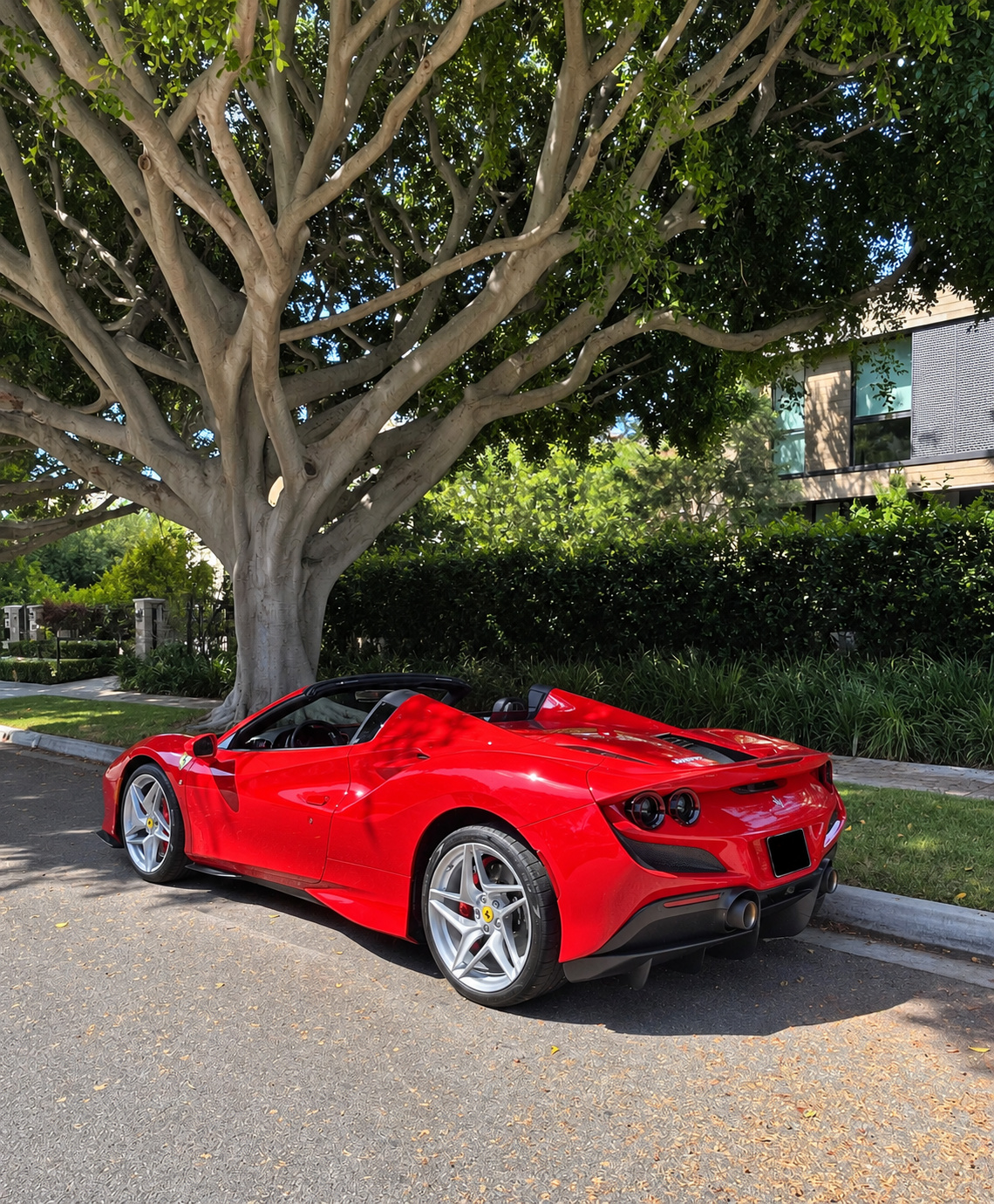 Rear three-quarter of the red Ferrari F8 Spider with the roof down, quad tail lights, parked under a tree