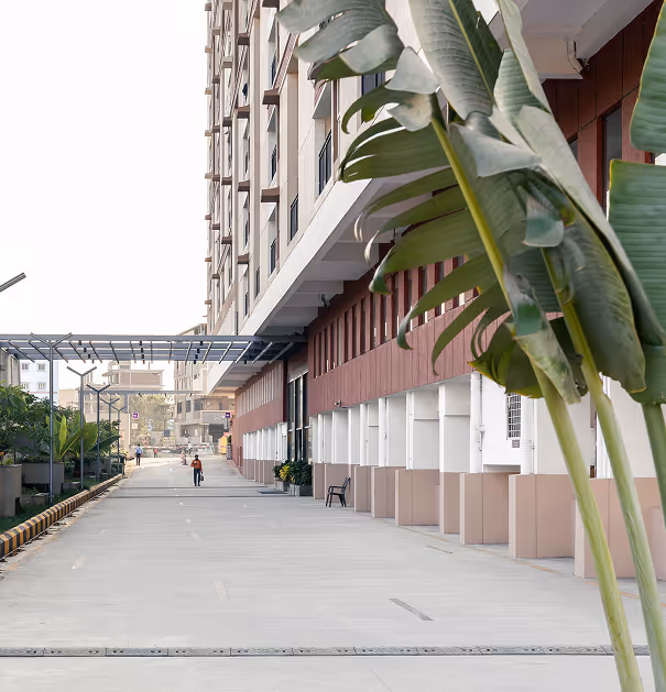 Wide sidewalk beside a multi-story building with large green plants and a person walking in the distance.