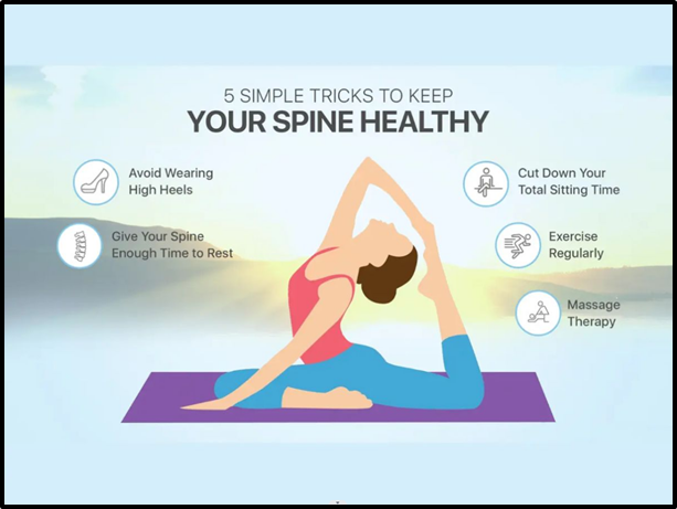 A Healthy Spine 1