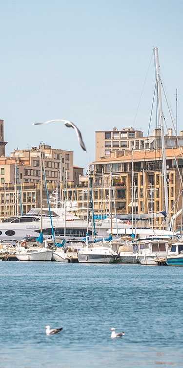 Soléo Prado, hotel in Marseille near the Old Port, ideal for accessing the city center quickly.