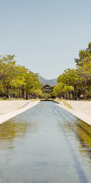 Les engagements Soléo Prado à Marseille, qualité et accueil au cœur du quartier du Prado, près du centre-ville.