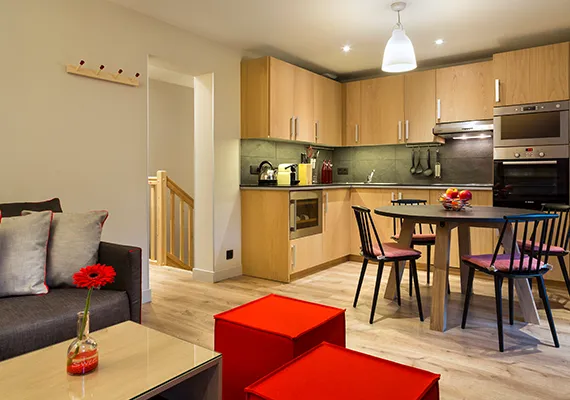 Appartement Le Lac Blanc séjour heliopic chamonix mont-blanc