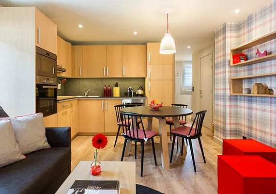 Appartement Les Cosmiques salon cuisine heliopic chamonix mont-blanc