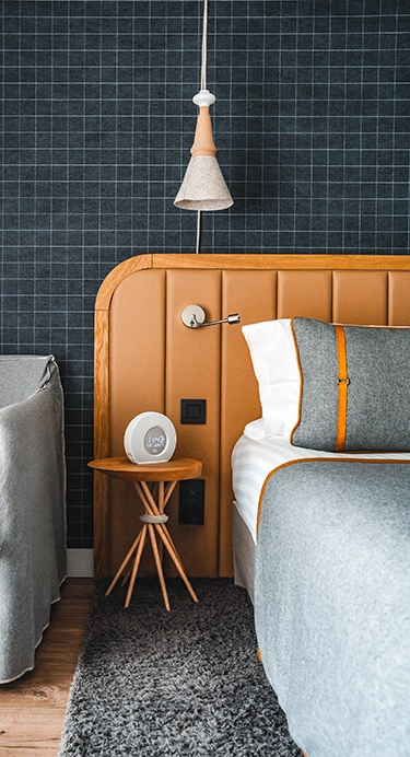 Rooms Hotel Heliopic Chamonix Mont-Blanc Headboard View