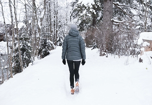 montagne enneigées heliopic chamonix mont-blanc