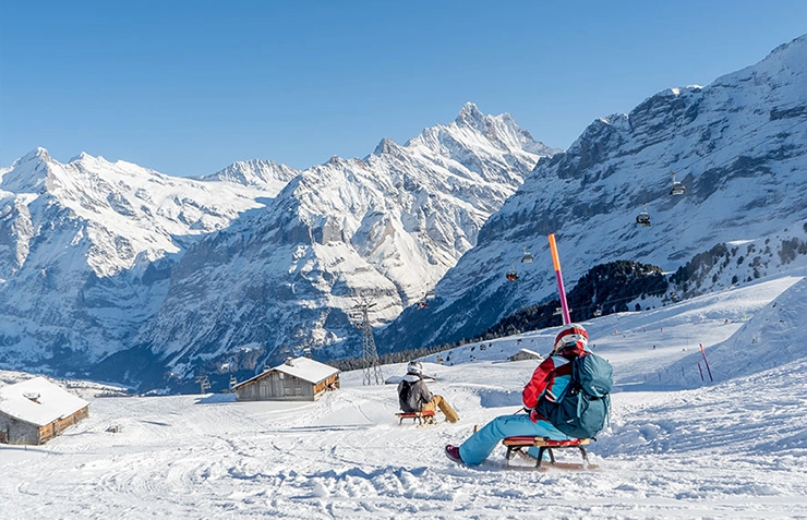 Sledding on the slopes in Wengen