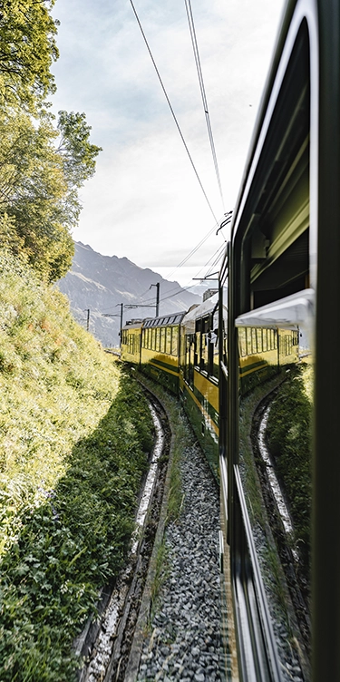 Zug von Wengen nach Braunbär Hotel & Spa