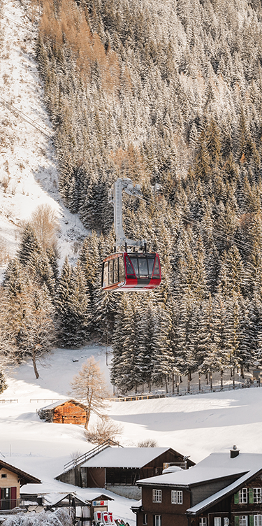Skiaktivitäten in Wengen 