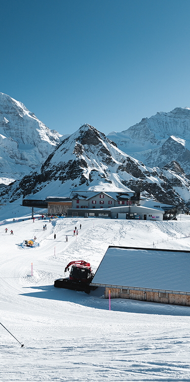 montagnes été à wengen