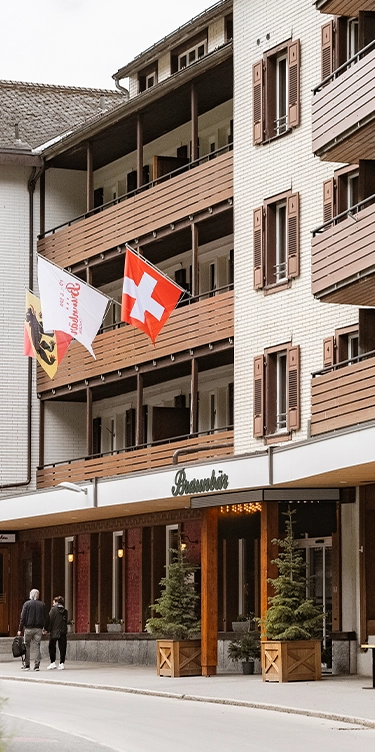 vue chambre hotel braunbär à wengen