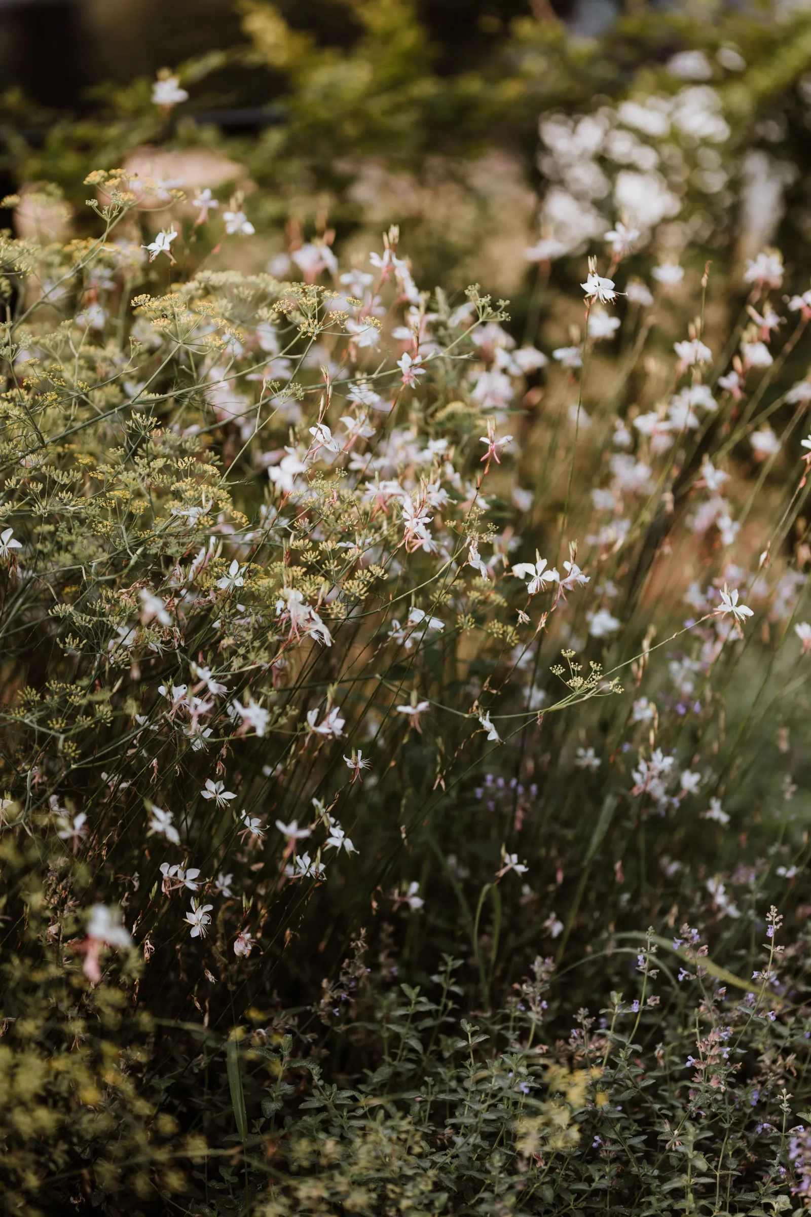 Natuurbeeld bij Be by Kay