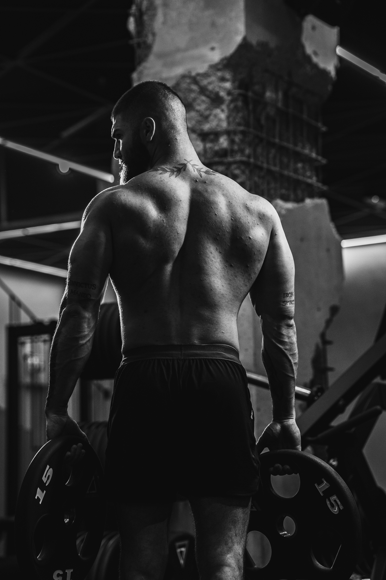Muscular man with a beard lifting two 15-pound weight plates in a gym, viewed from the back.