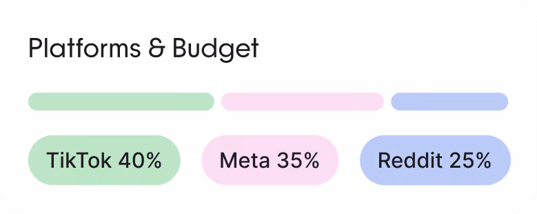 Chart showing budget distribution across platforms: TikTok 40%, Meta 35%, Reddit 25%.