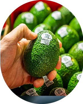 avocados