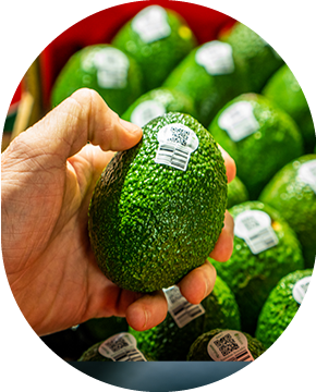 avocados