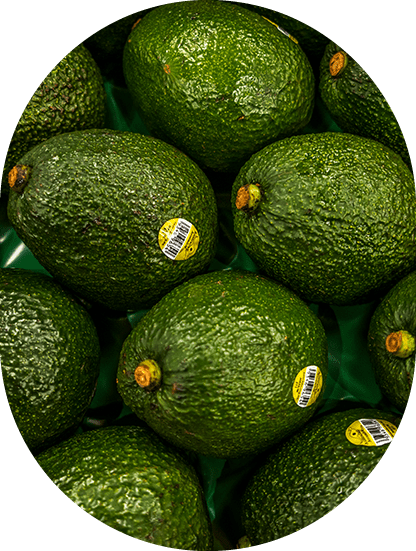 avocados