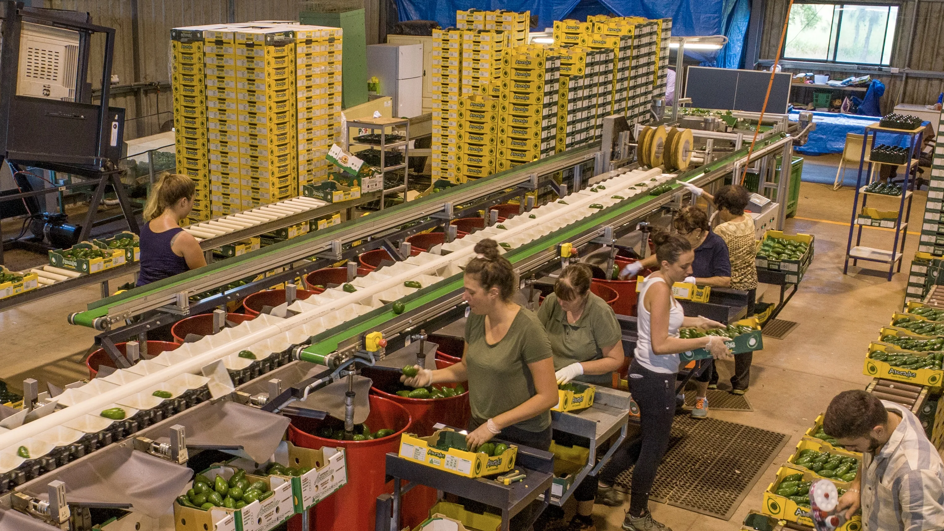 WHOLESALERS