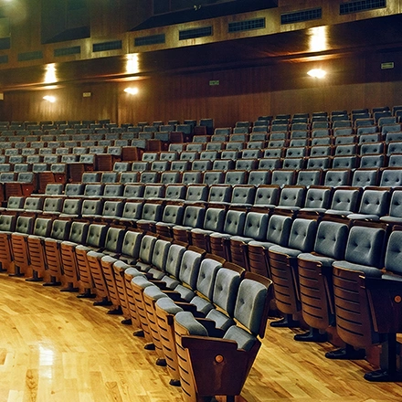 Auditorio-Palacio