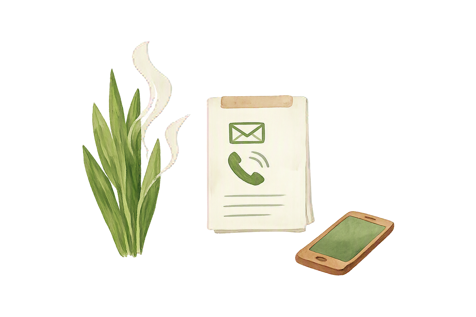 image of pest control procedures