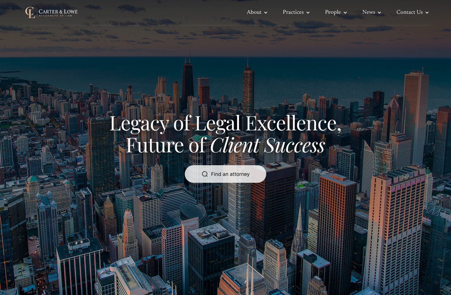 Website design project preview 1