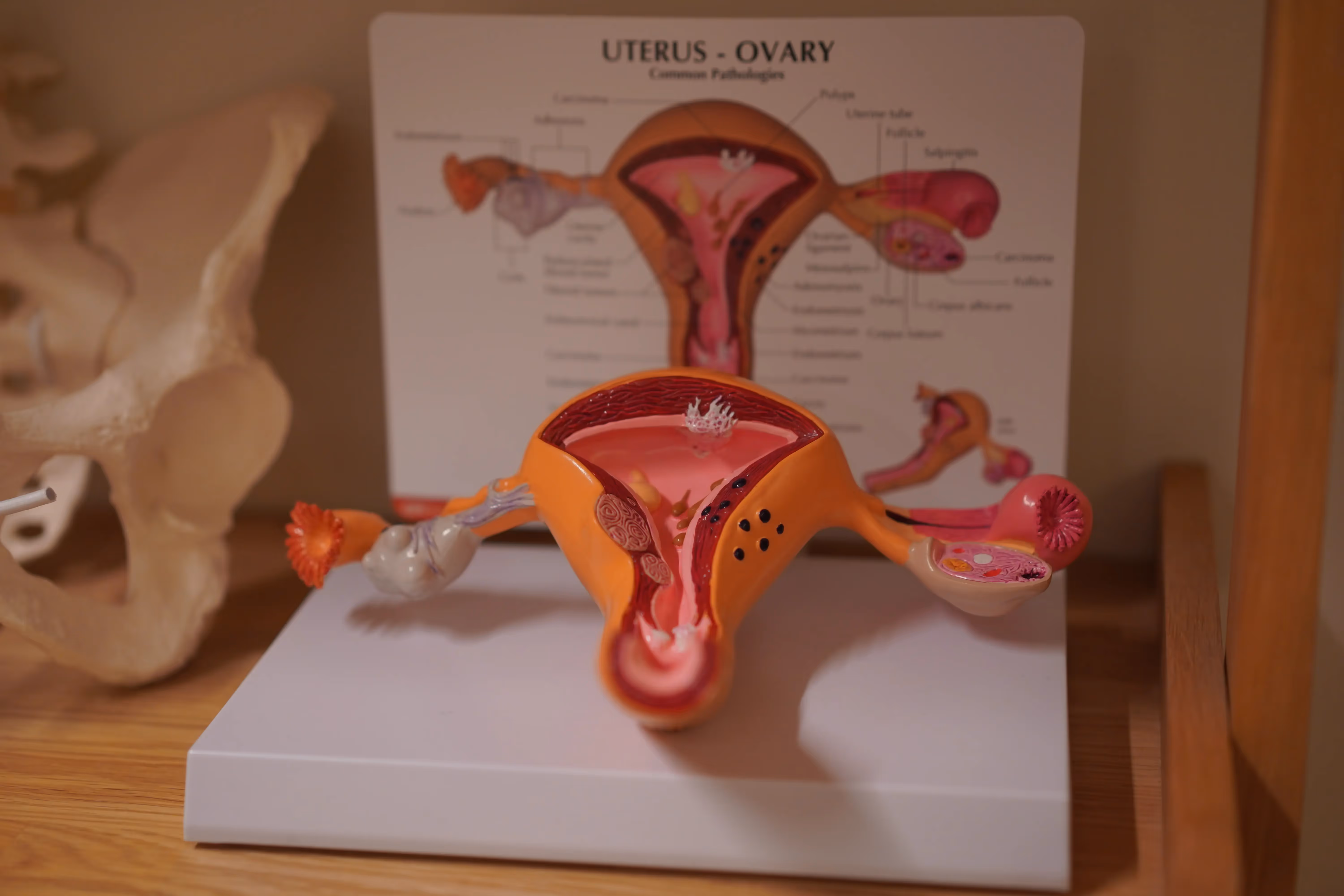 Progesteron och klimakteriet