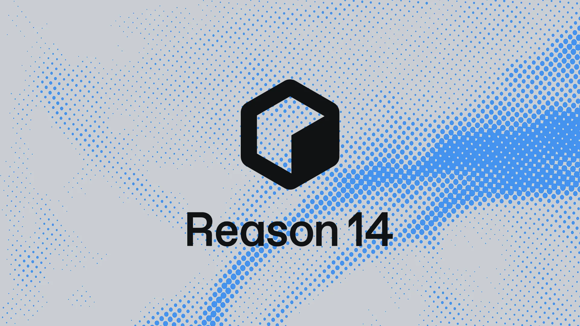 Black geometric cube logo above text reading Reason 14 on a light gray and blue dotted background.