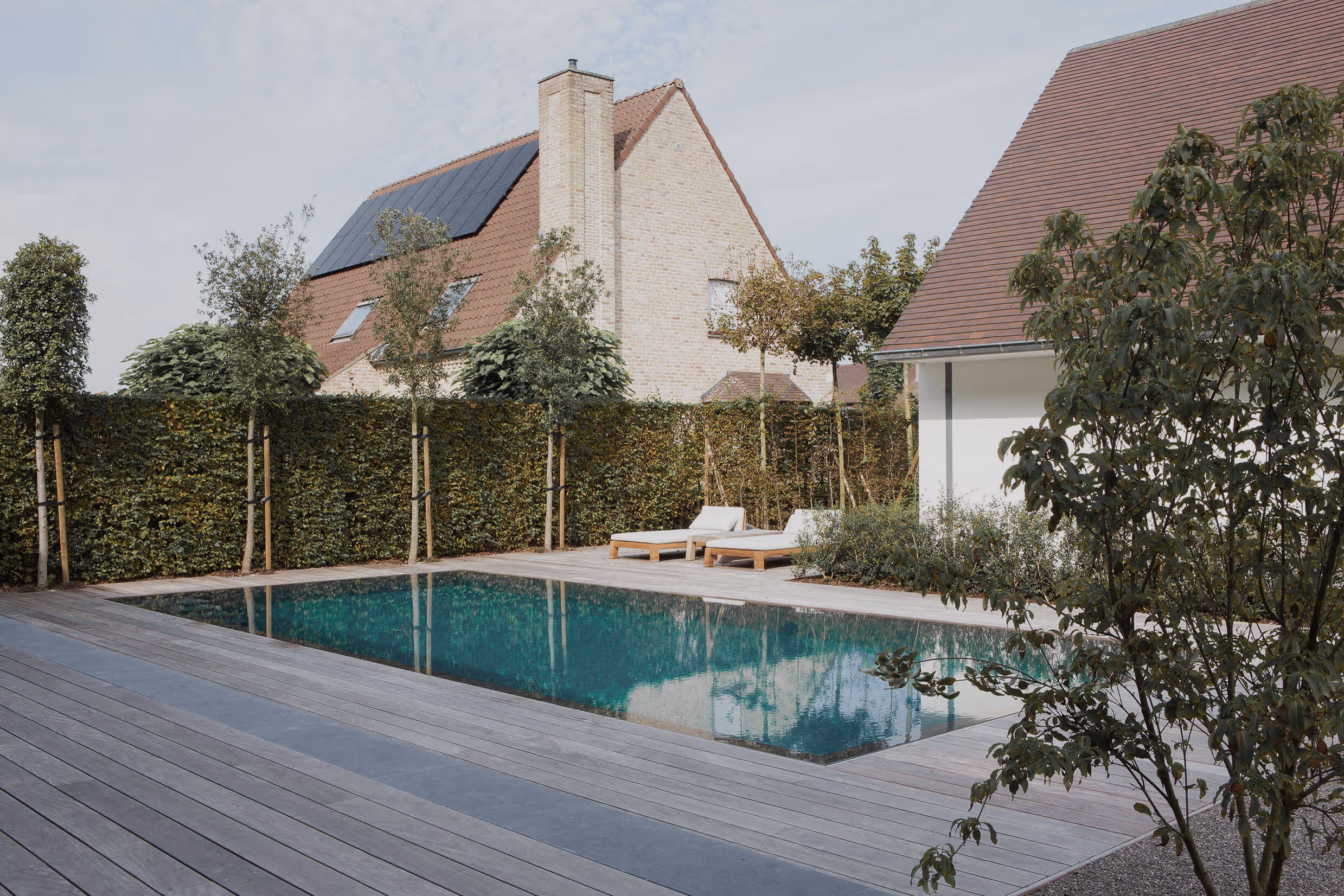 Modern backyard with rectangular pool, wooden deck, lounge chairs, and trimmed trees by houses.