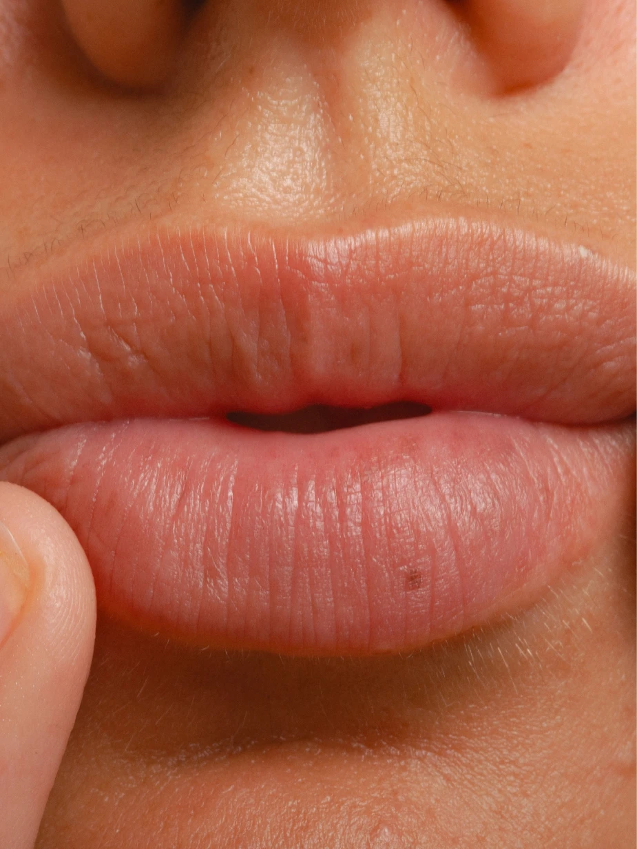 Lèvres Pulpeuses