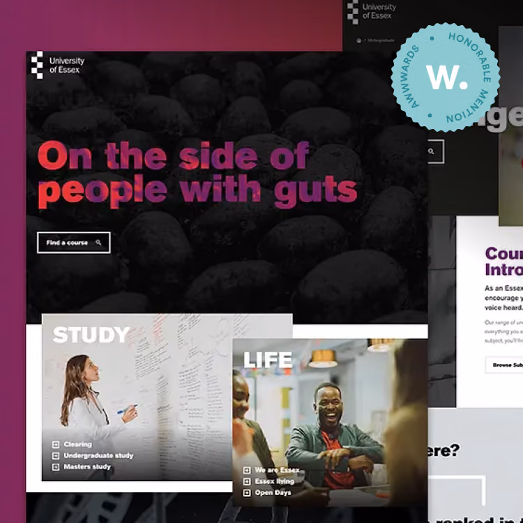 University of Essex webpage with slogan 'On the side of people with guts' and sections on study and life.