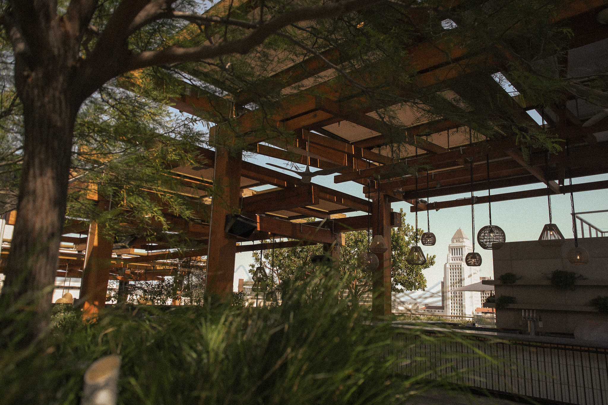 Back terrace of the Conrad LA in DTLA. Trees, plants, and city buildings in view.