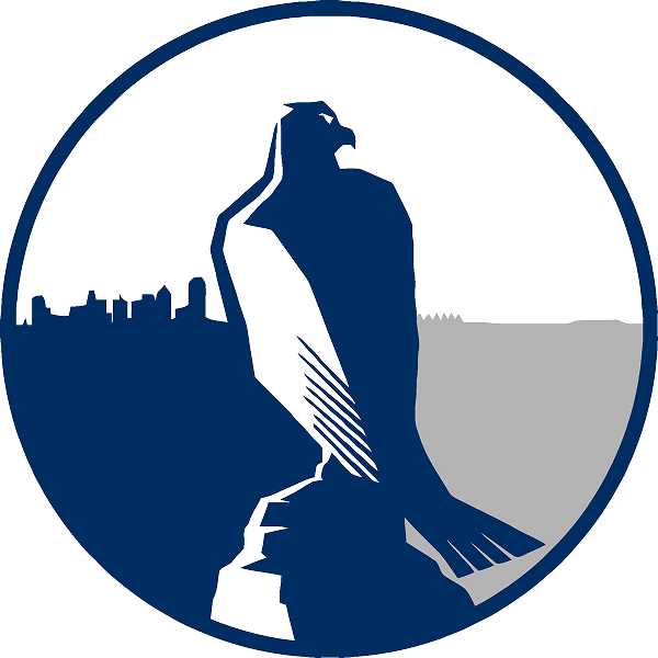 StoneHawk Capital Partners
