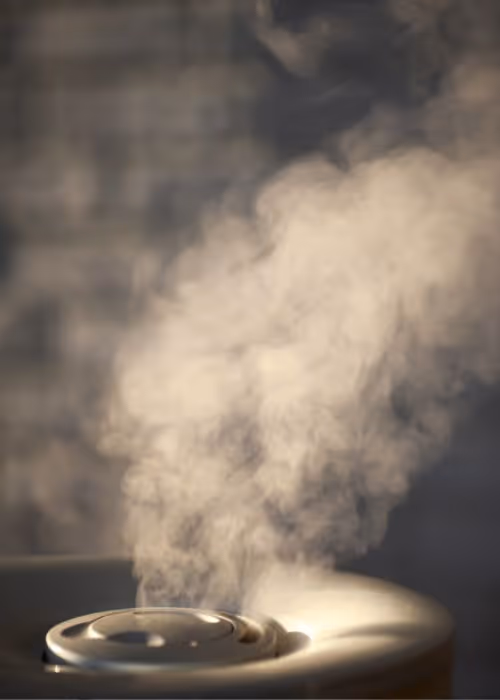 Humidifier releasing a thick plume of mist into the air in soft light.