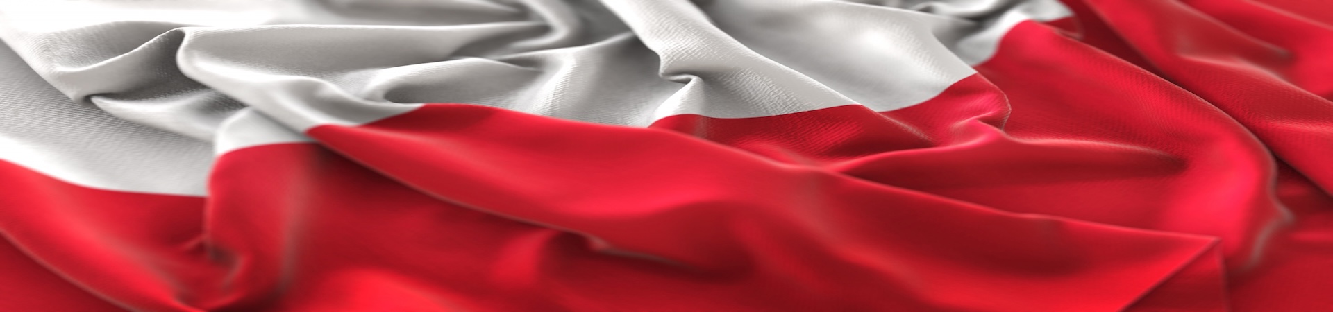 Polish Citizenship by Descent background