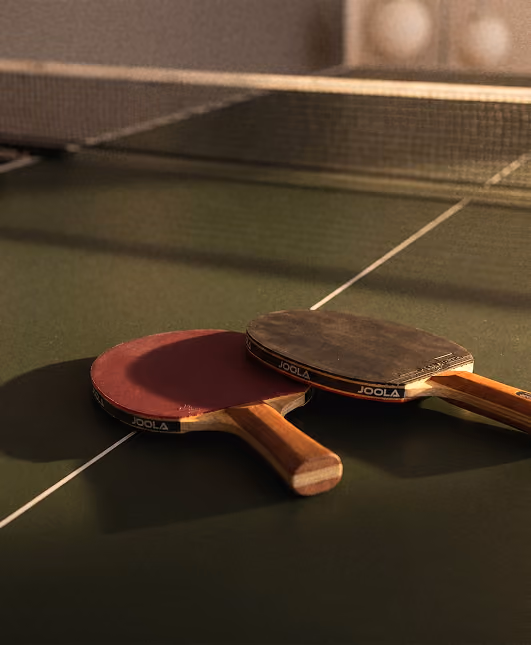 Zwei JOOLA Tischtennis-Schläger liegen auf grünem Tischtennistisch neben dem Netz.