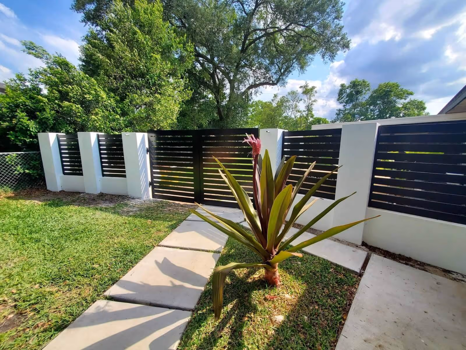 Modern black aluminum gate and fence with white concrete pillars surrounding a grassy yard with a large green plant in front of the gate.