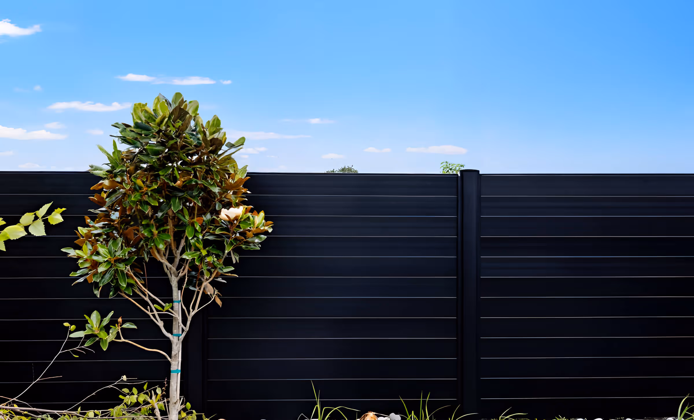 Modern black horizontal aluminum privacy fence with a small tree and green plants in front under a blue sky.